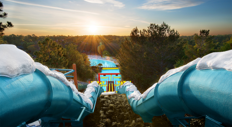 Disney World Blizzard Beach Water Park Foto Disney